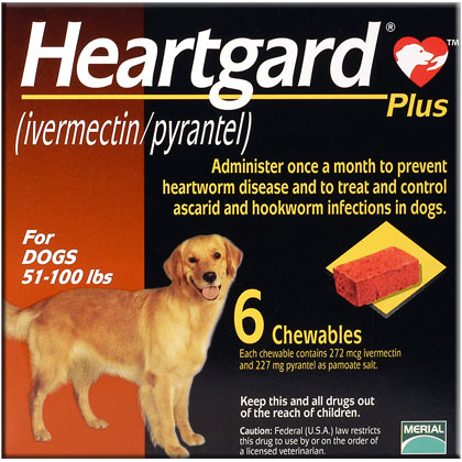 can heartgard make my dog sick