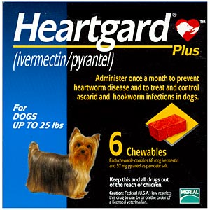 can heartworm medicine make a dog sick