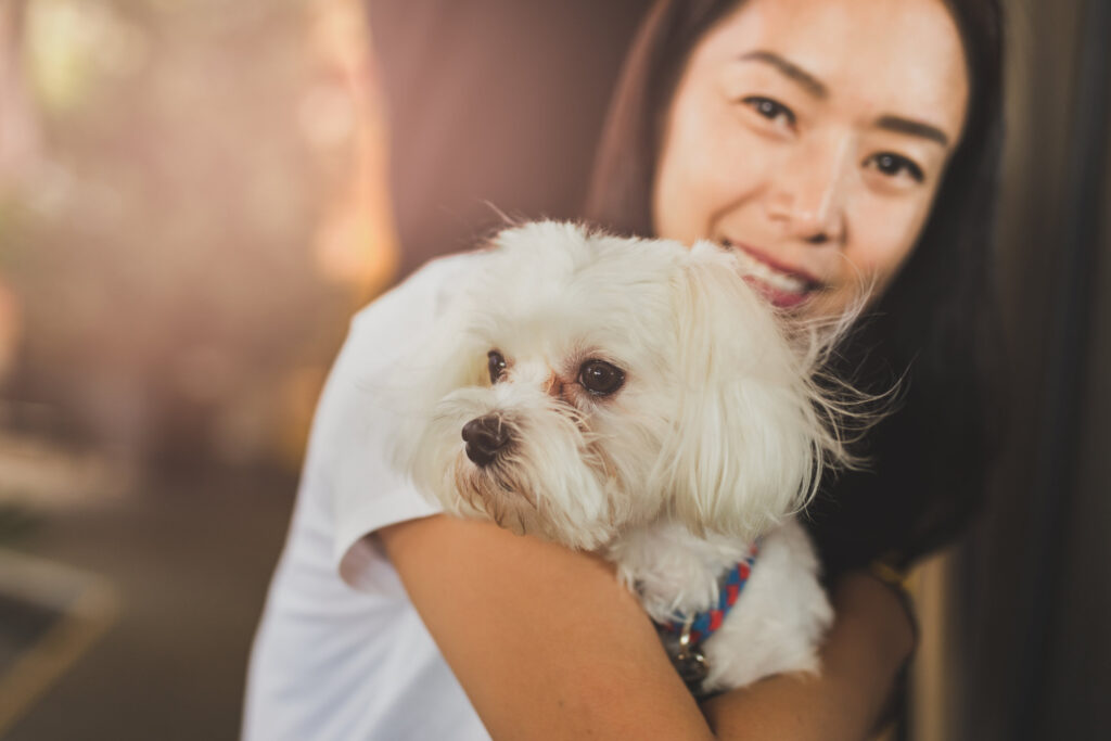 Vet Wake Forest NC | Complete Pet Care